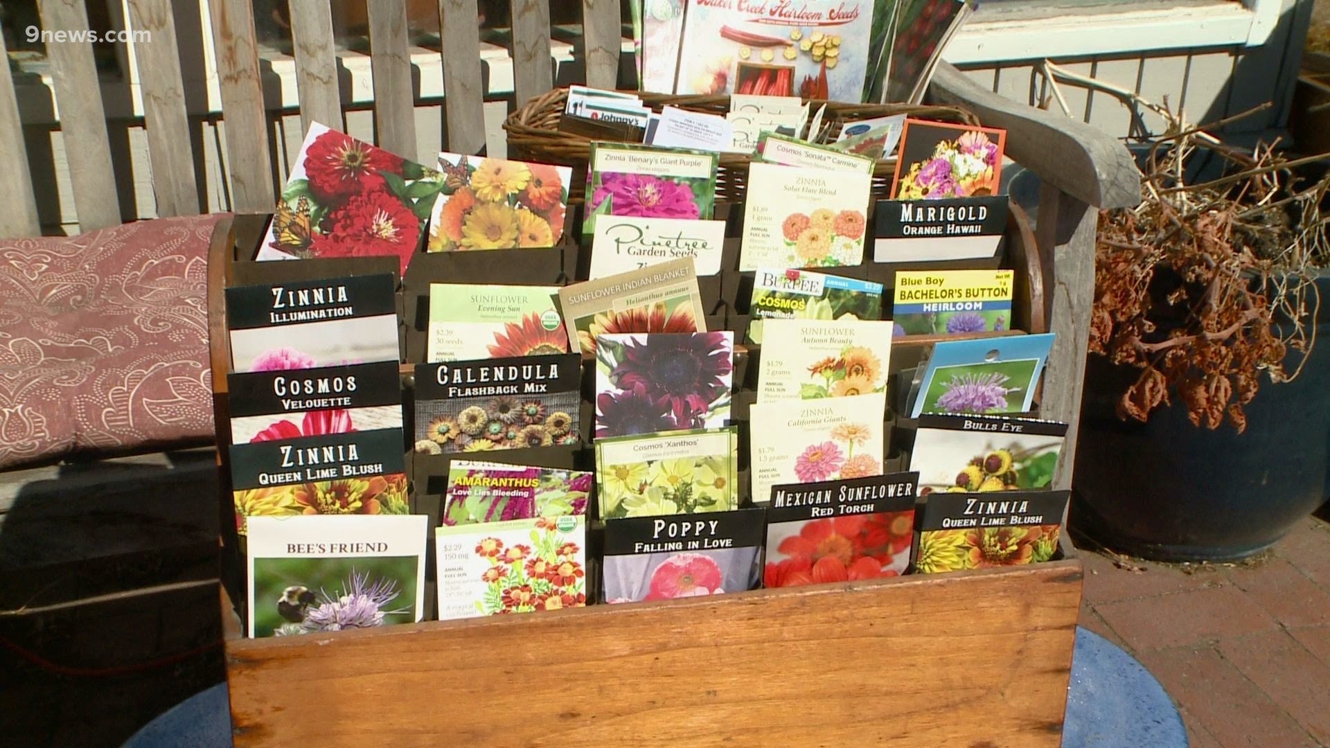 While garden centers and nurseries offer seeds, a seed catalog offers more choices for gardeners.