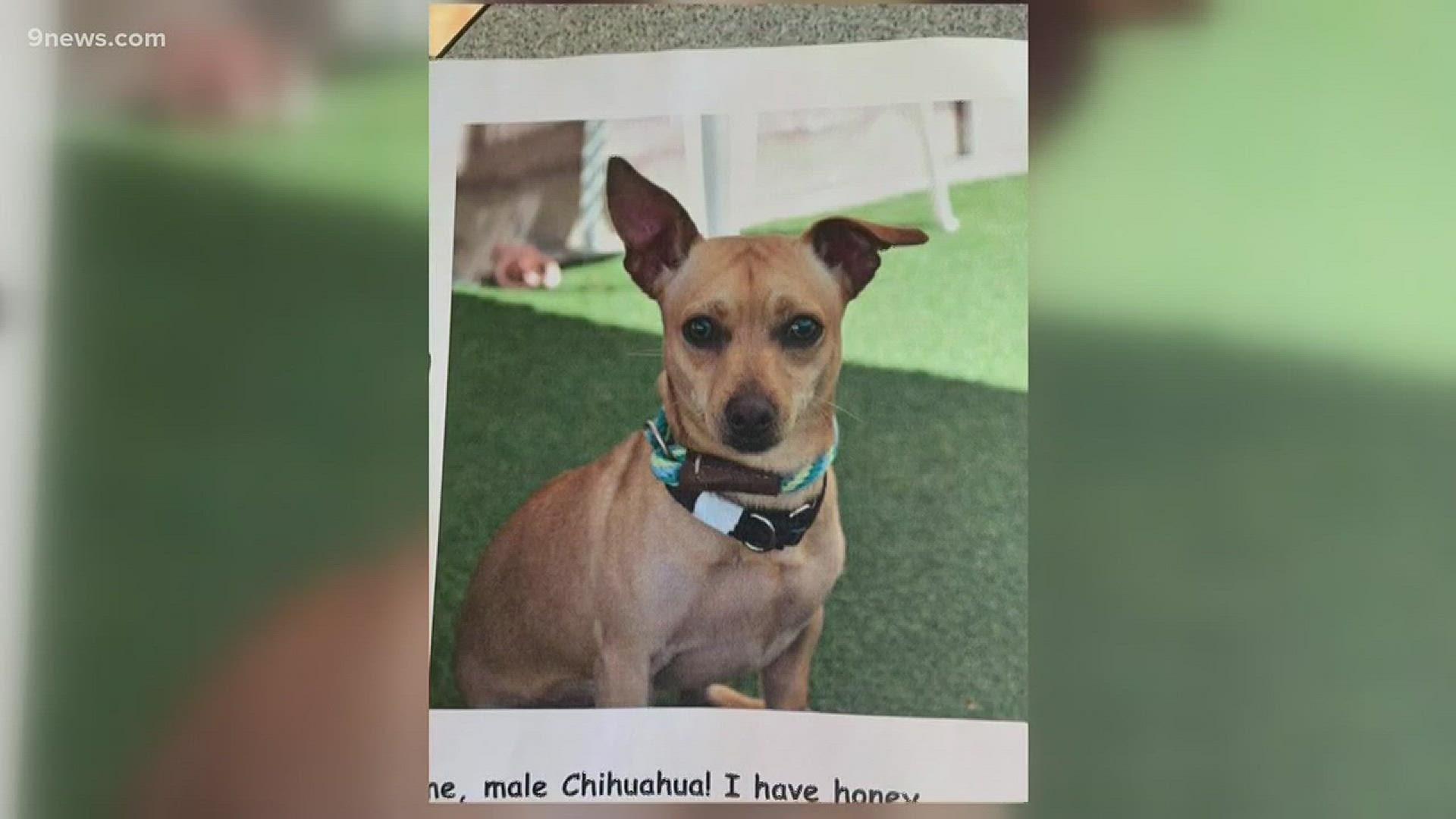 A no-kill shelter in Denver had a dog stolen this week. They are currently trying to locate the man suspected of taking the dog
