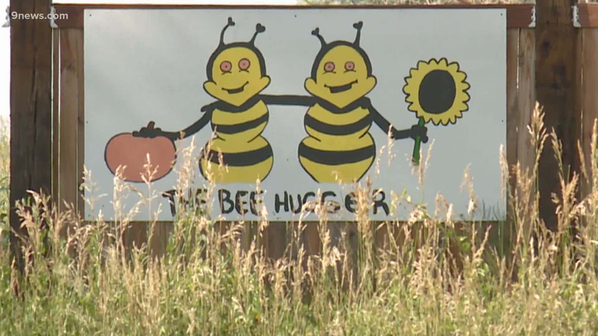 Bee Hugger Farm in northeast Longmont encourages people to visit and is now working on growing pumpkins.