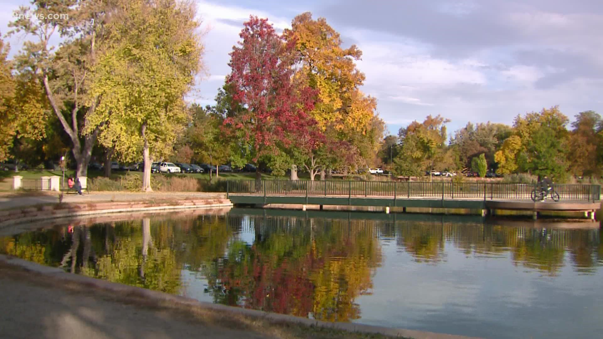 Fall colors have long peaked in the mountains. 
But now the metro area is getting some love.
