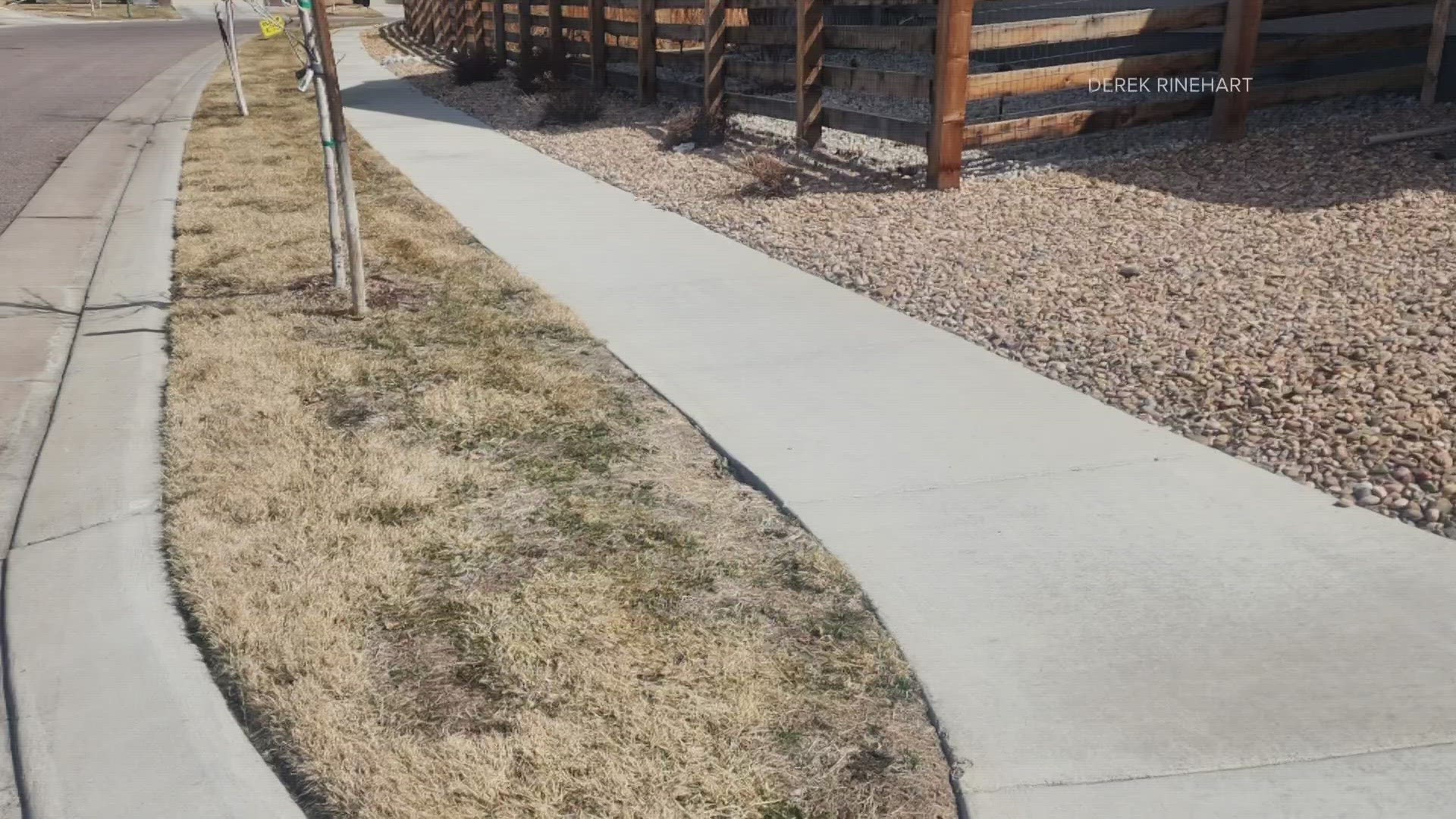 Derek Rinehart's HOA approved his plan to replace grass with a Table Mountain ice plant, but the city shut down the idea.