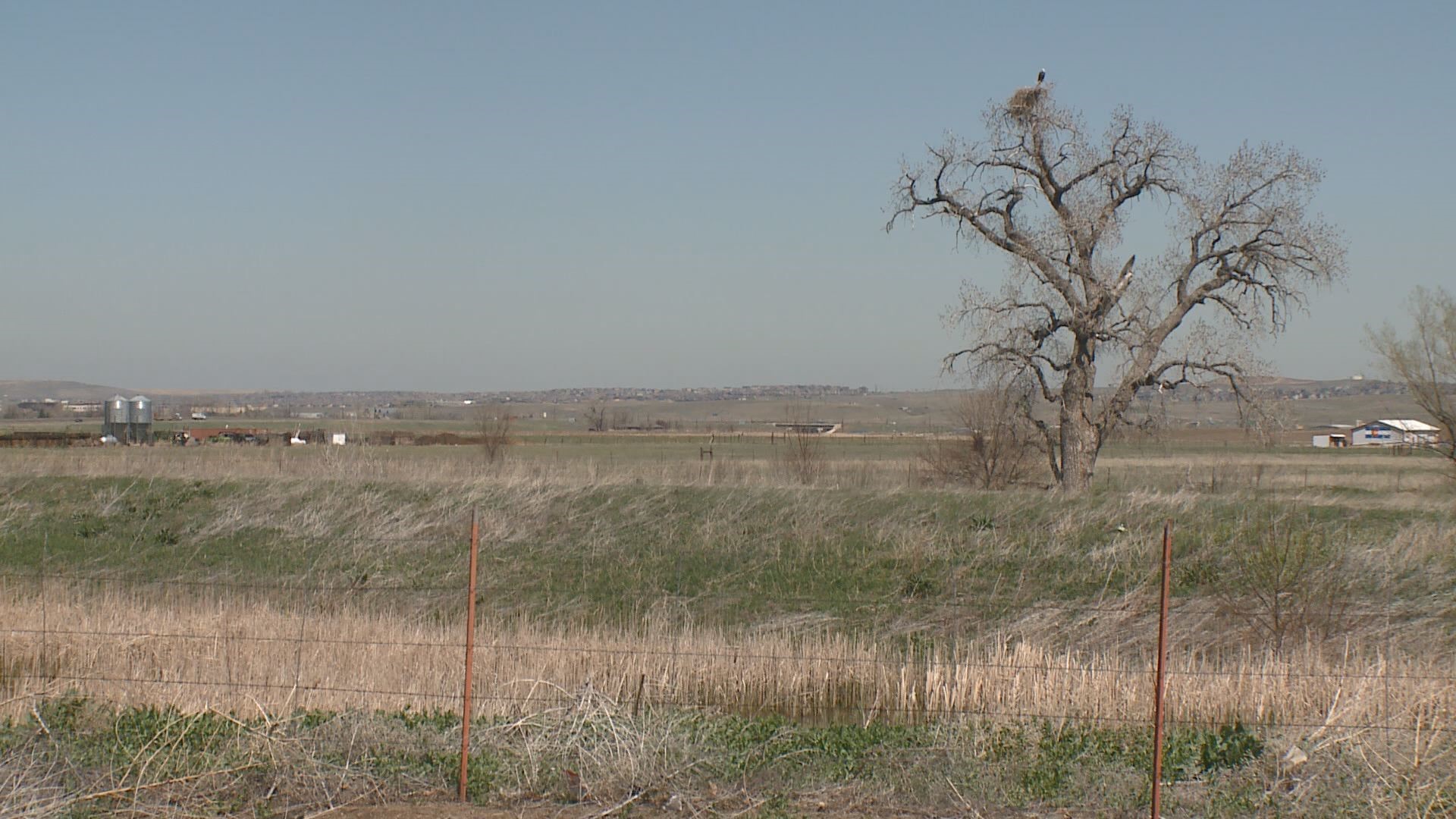 Developer seeks 'disturbance permit' to build near bald eagle nest in
