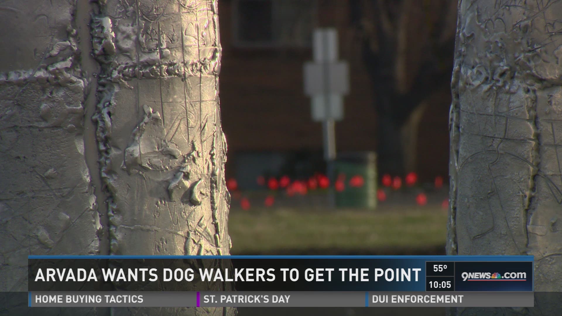 Arvada leaving 'poop fairy' flags to prove point about dog waste