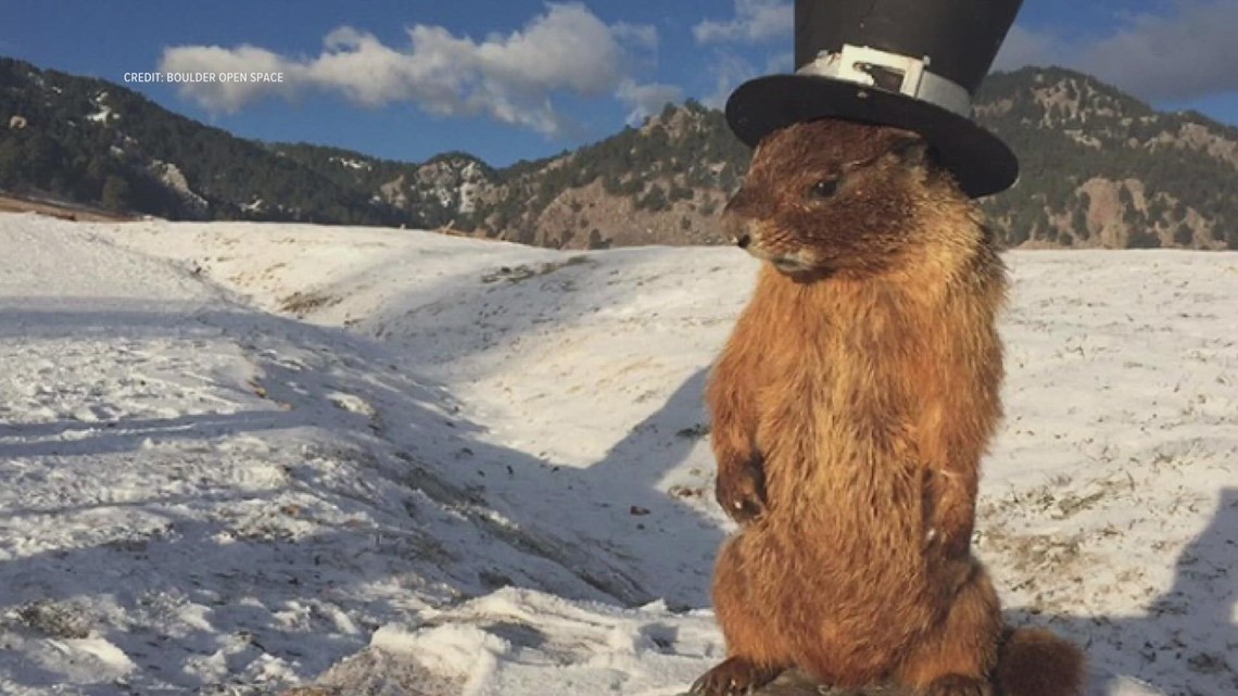 Groundhog Day: The history of Boulder's Flatiron Freddy