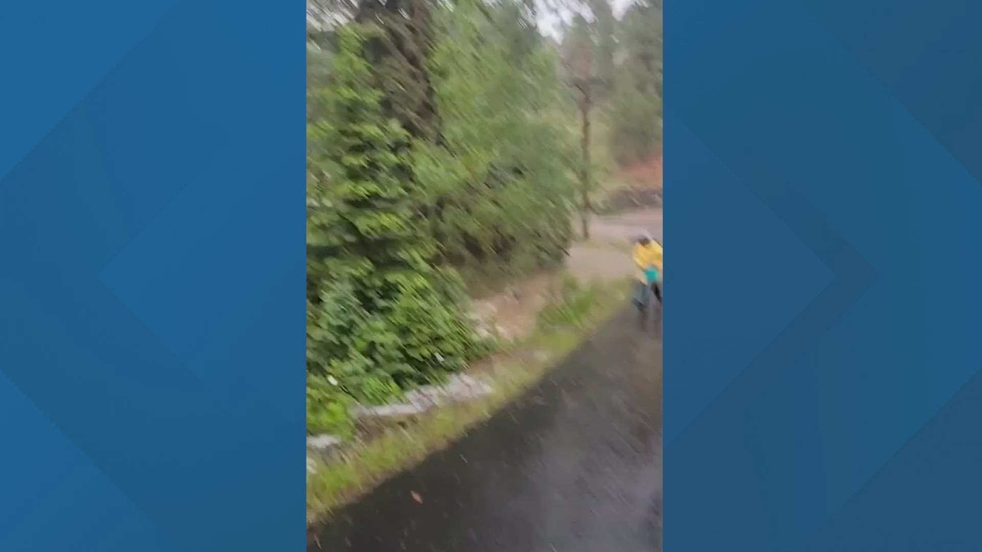 In Chicken Creek, Kammy Dyche witnessed extreme flooding. Usually, a trickle of water and now with sticks and pine needles blocking her culvert.