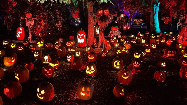 Halloween festival brings 7,000 jack-o’-lanterns to Denver area | 9news.com