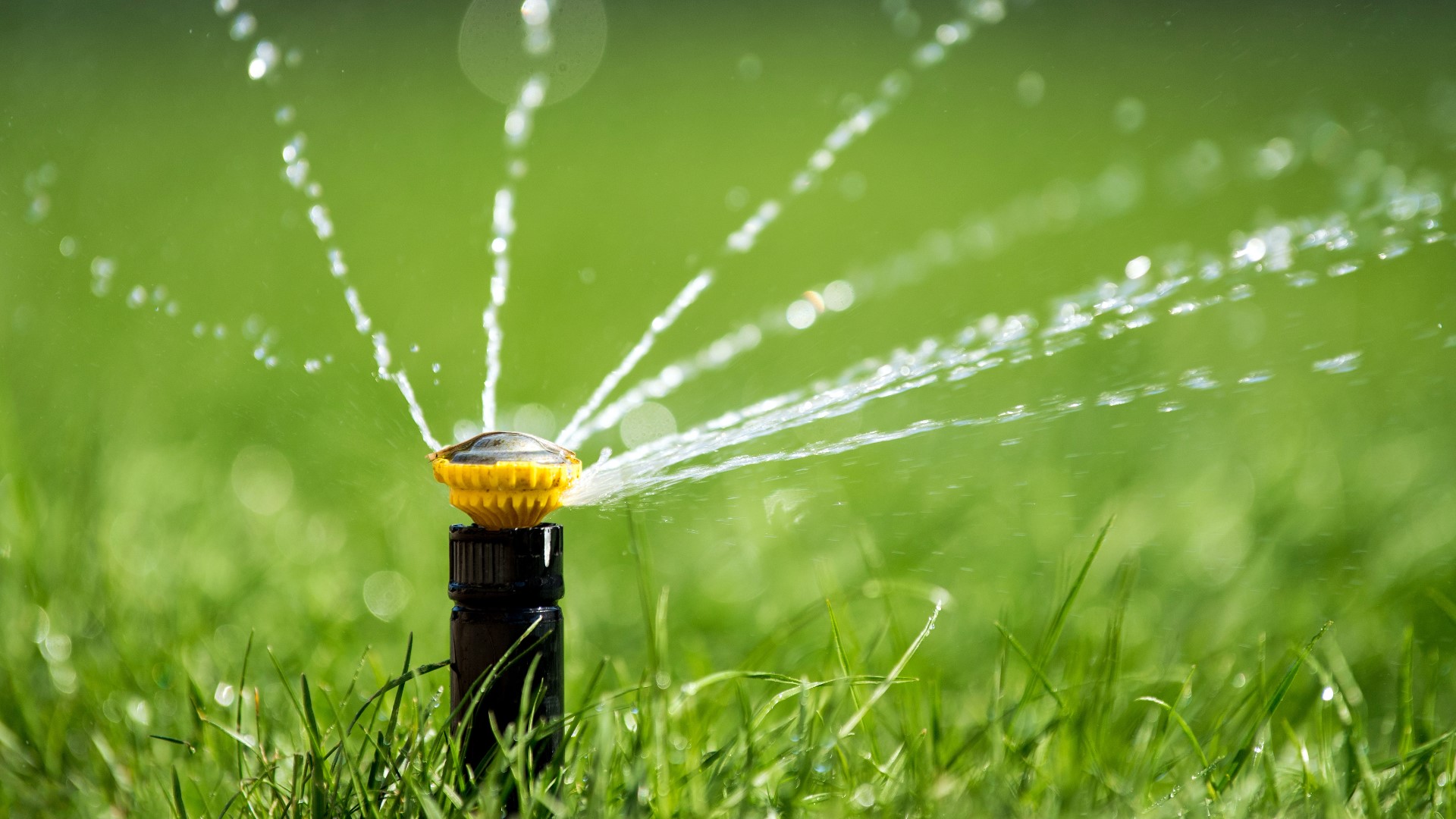 Denver Water enforces watering rules starting May 1, restricting lawn watering between 10 a.m. and 6 p.m., and limiting it to three times a week.
