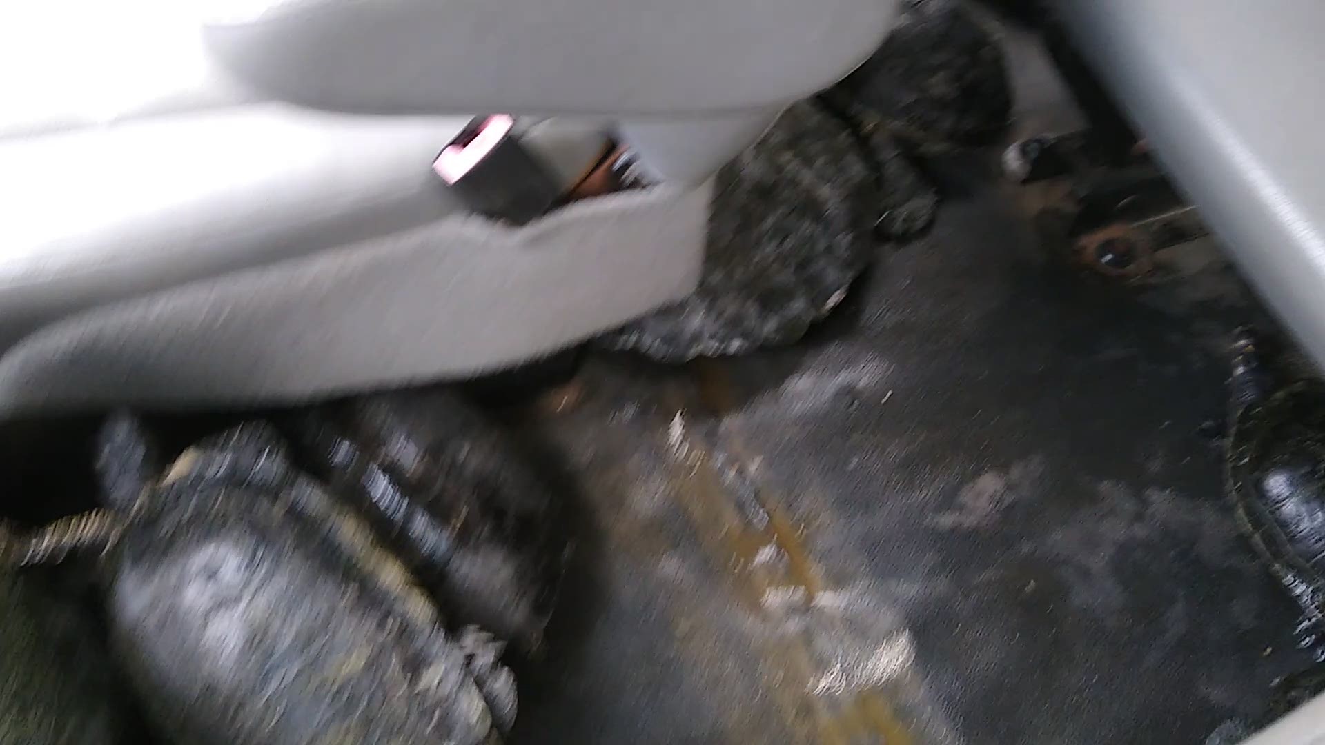 In a video shared by the zoo, workers were keeping dozens of tortoises warm in a van.