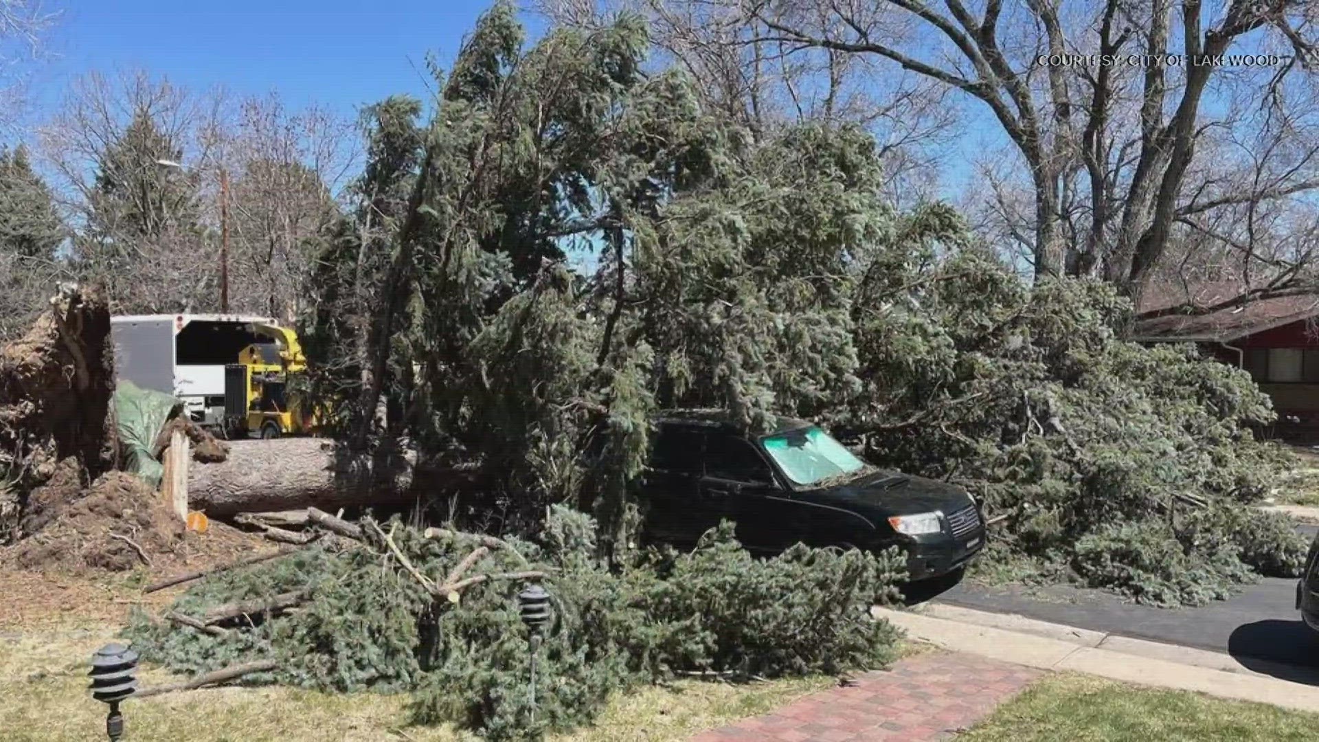 Lakewood and Wheat Ridge are each offering free tree branch dropoff sites for residents cleaning up from the weekend windstorm.