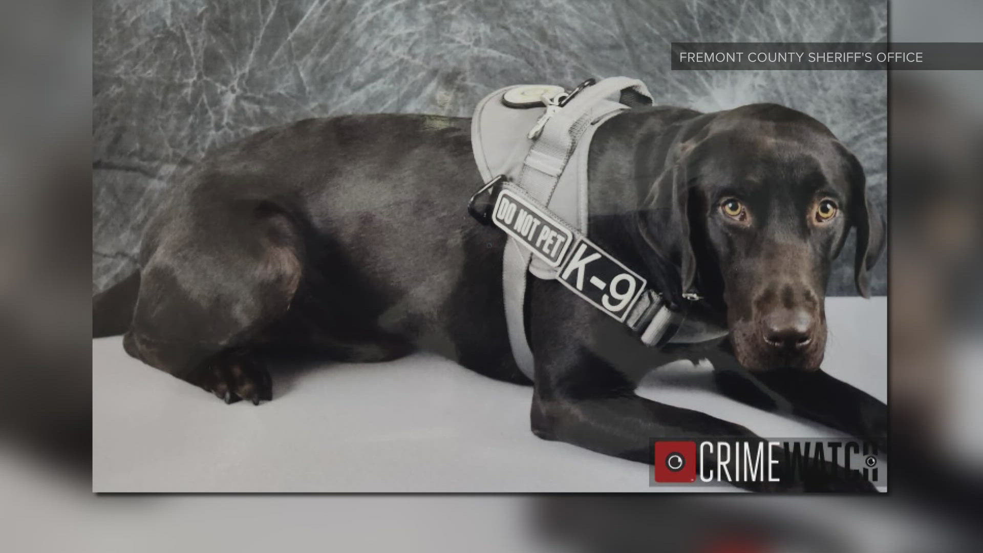 The Fremont County Sheriff's Office says after an extensive search, K-9 Watson was found dead by his handler Friday afternoon.