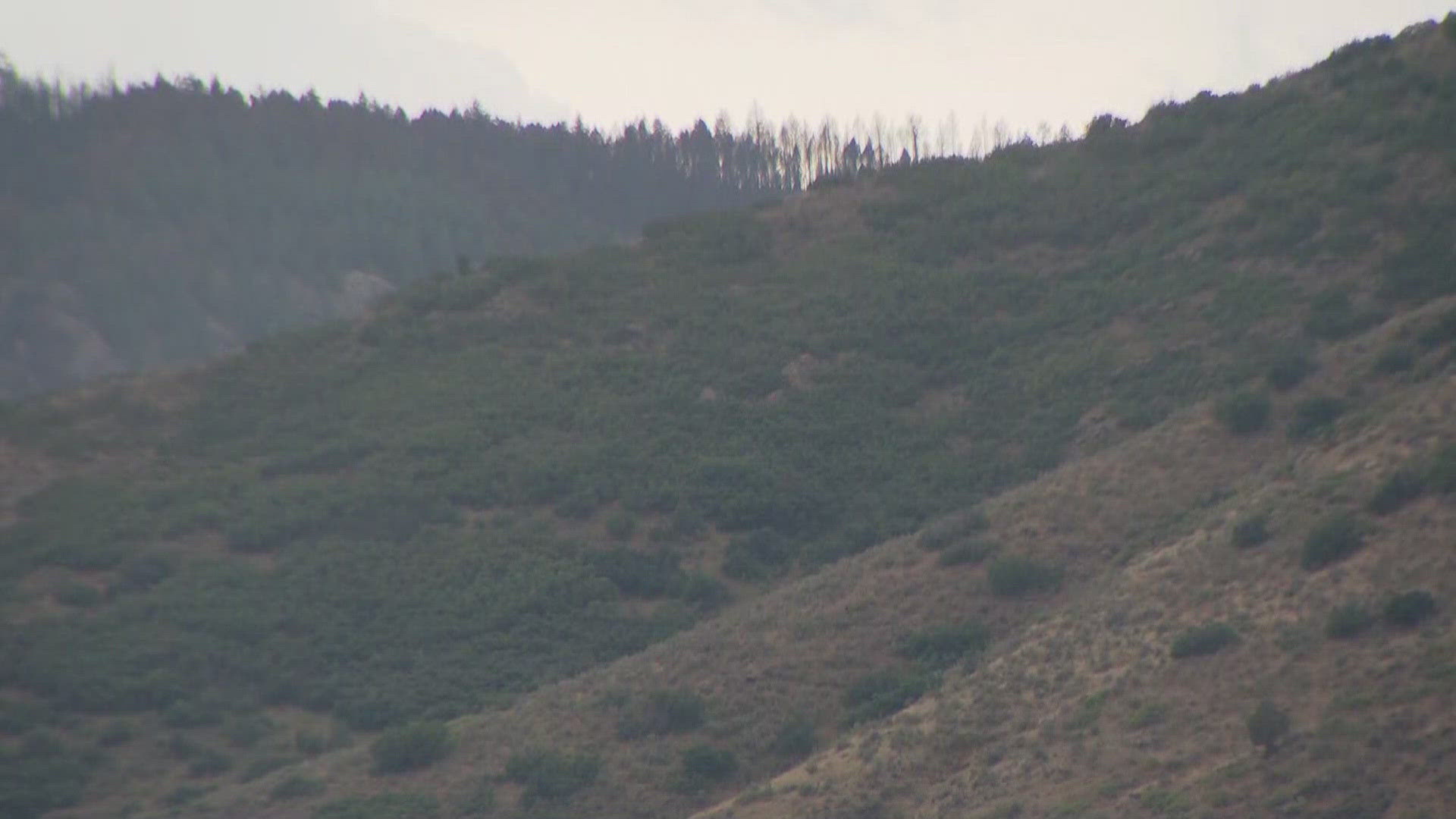 The Jefferson County Sheriff's Office said the wildfire near Deer Creek Canyon was 472 acres and that containment was at 35% as of Sunday afternoon.