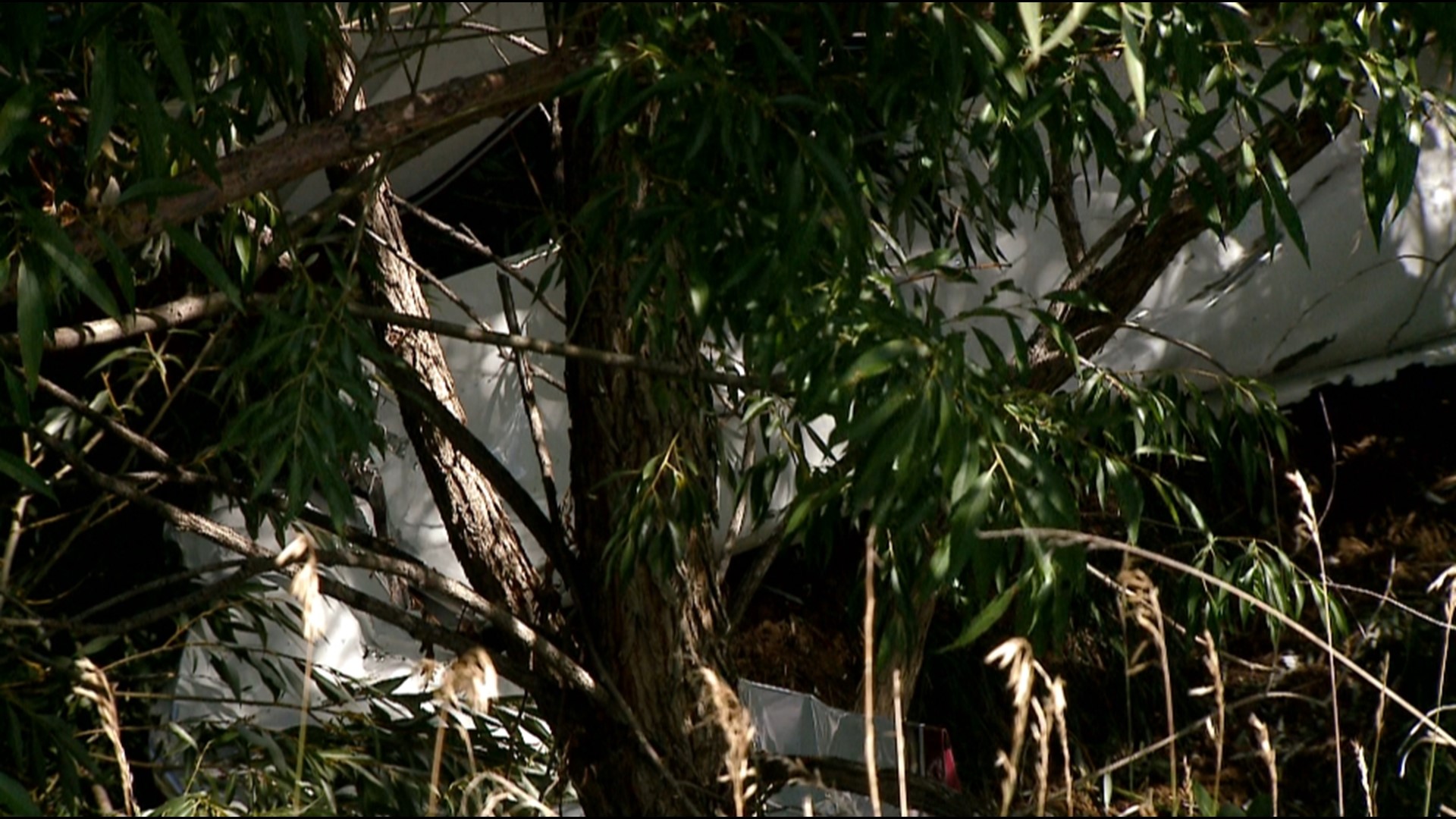 3 confirmed dead in Boulder County 2plane collision