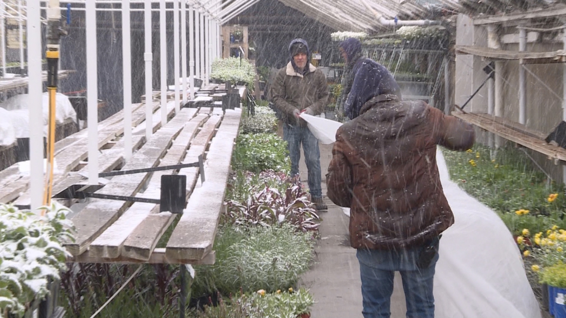 Garden centers race to protect plants ahead of spring snow