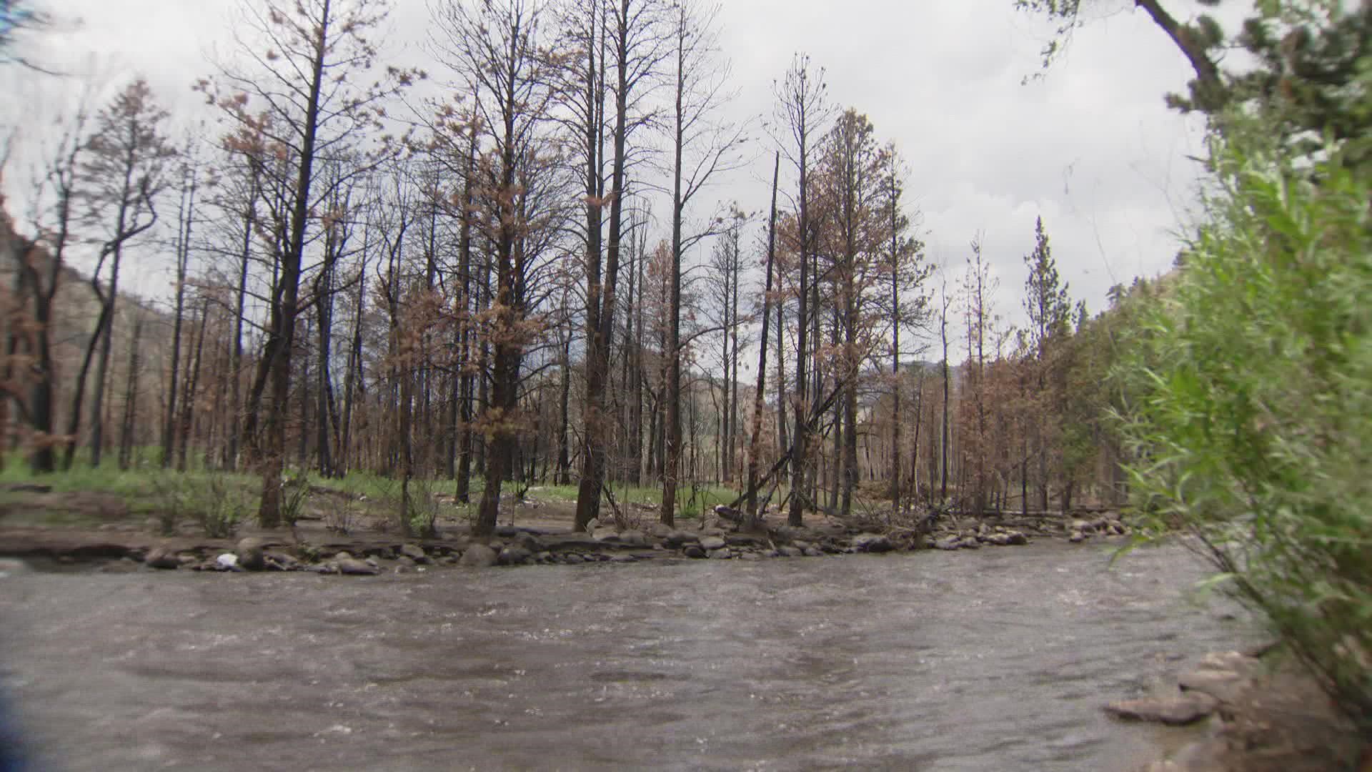 Burned land is especially bad at absorbing water, leading to flash floods for years to come.