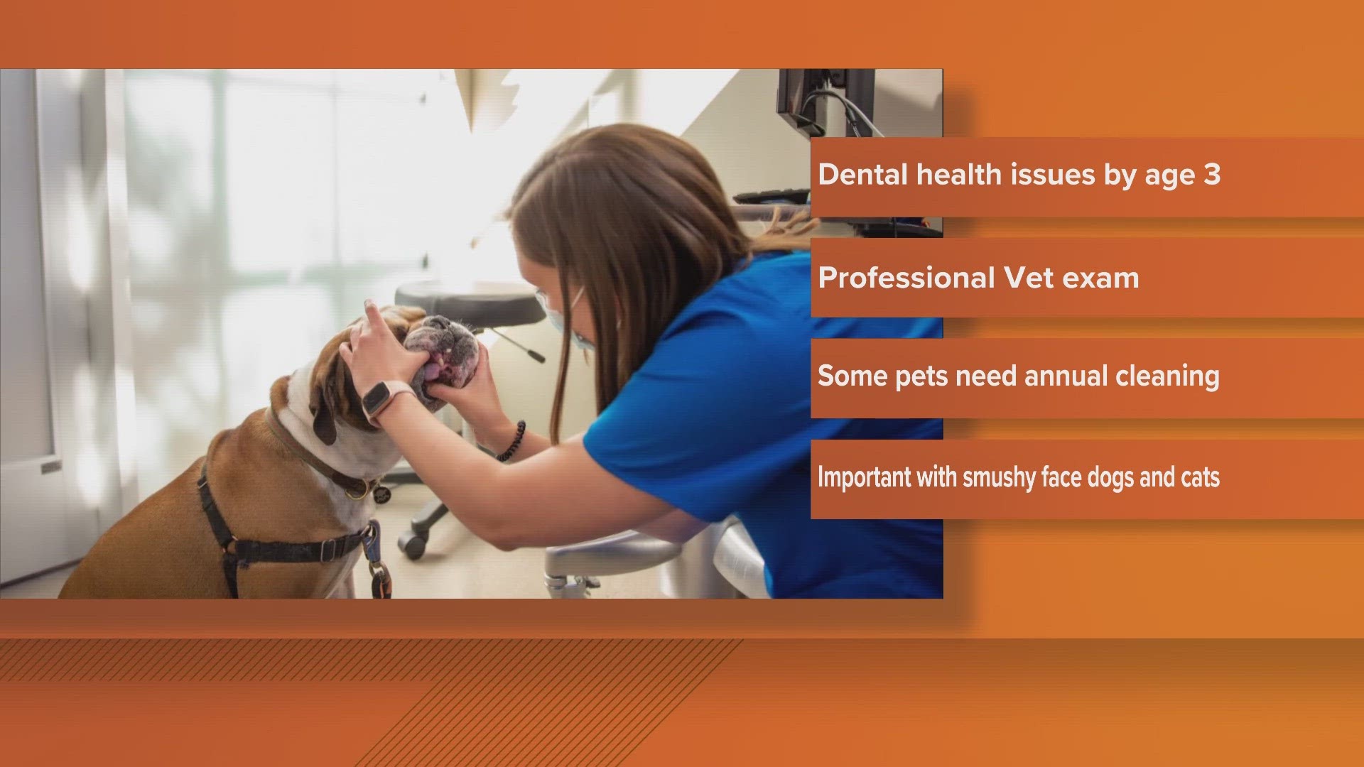 Dr. David Liss with Goodheart Animal Health Center discusses the importance of cleaning your pet's teeth during National Pet Dental Health Month.