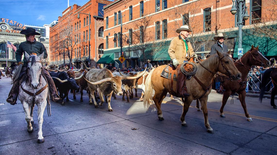 Broncos mascot Thunder named National Western Stock Show parade Grand  Marshal – The Denver Post