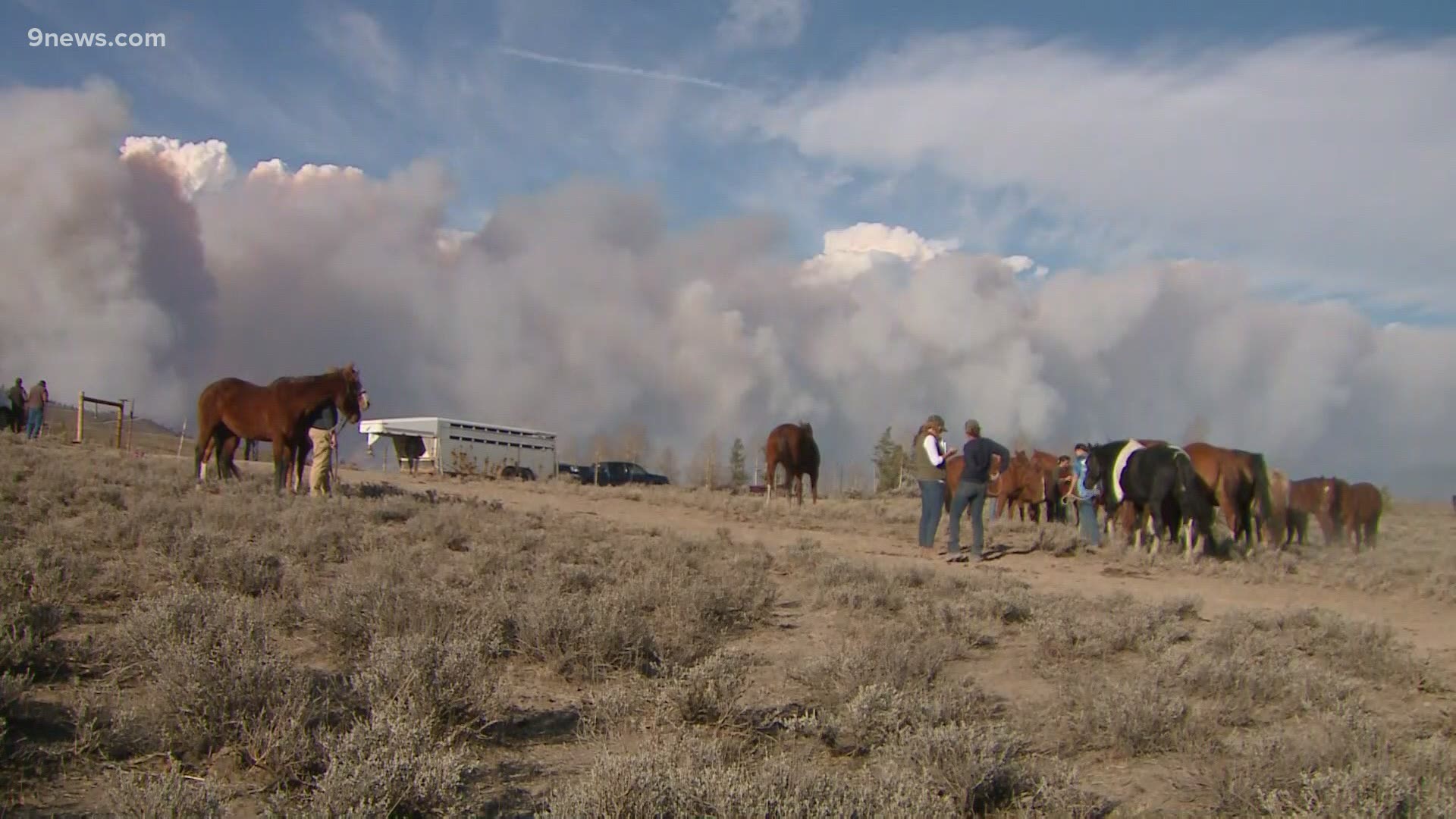 The horses were evacuated due to the East Troublesome Fire.