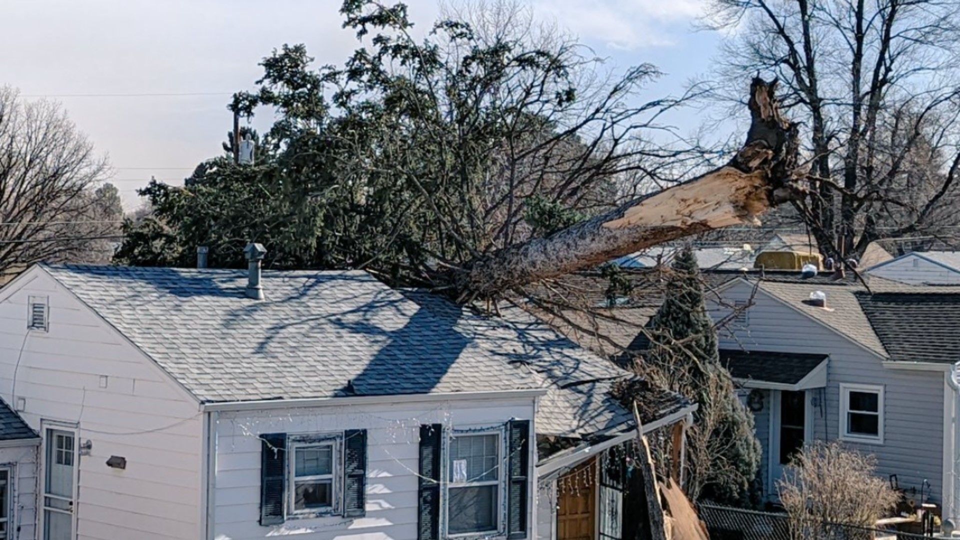 Strong winds bring down power lines, trees across Colorado | 9news.com