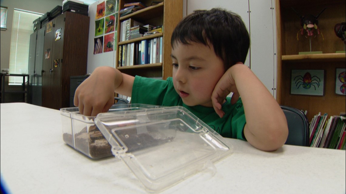 Summer learning program helps students connect with invertebrates - Vimarsana News