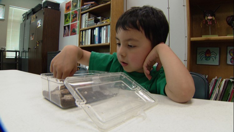 Cool Schools: Summer learning program gives students creepy-crawly experiences