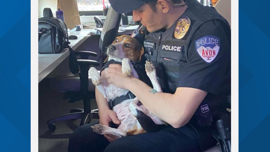 Meet the new Avon police K9 Help name the pup