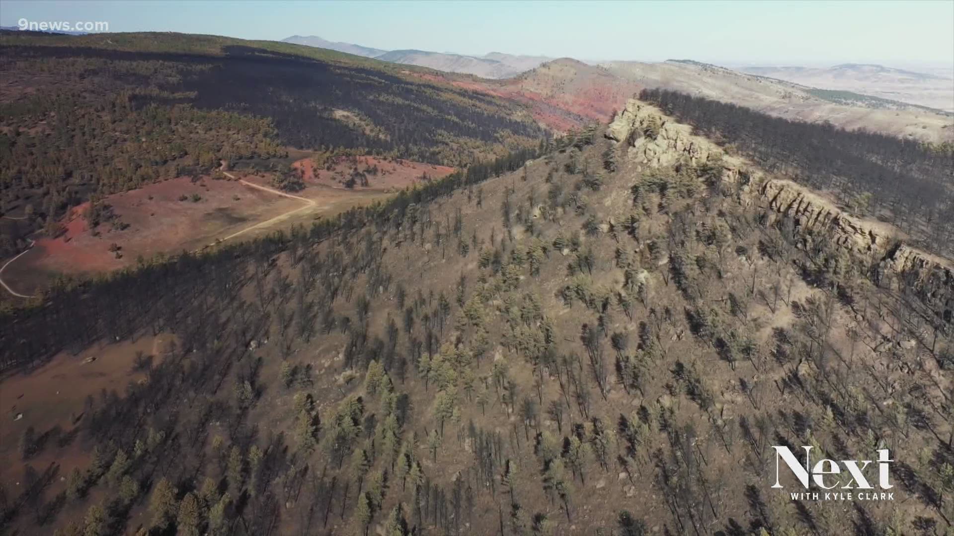 Nearly 5,000 acres of the Heil Valley Ranch in Boulder County burned in the 2020 Calwood Fire. That land will recover with time, and with help.