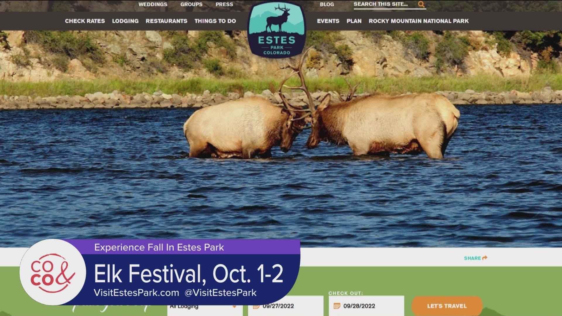 The Elk Festival is this weekend in Estes Park! Learn more and find a calendar of all the upcoming events at VisitEstesPark.com.