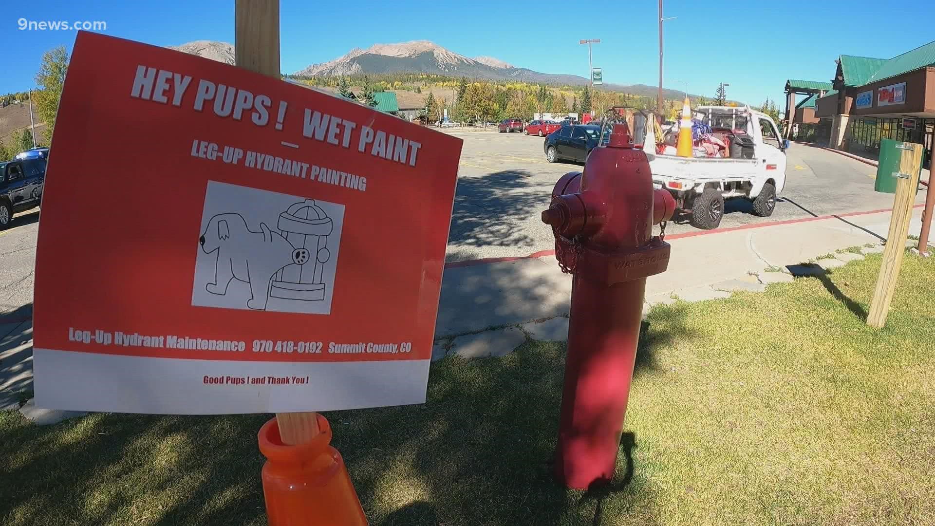 This man is painting hundreds of fire hydrants in Silverthorne