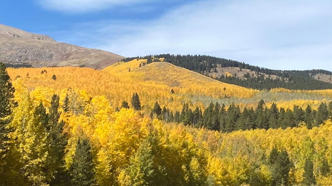 Colorado fall colors photo gallery 2023, Share your pictures