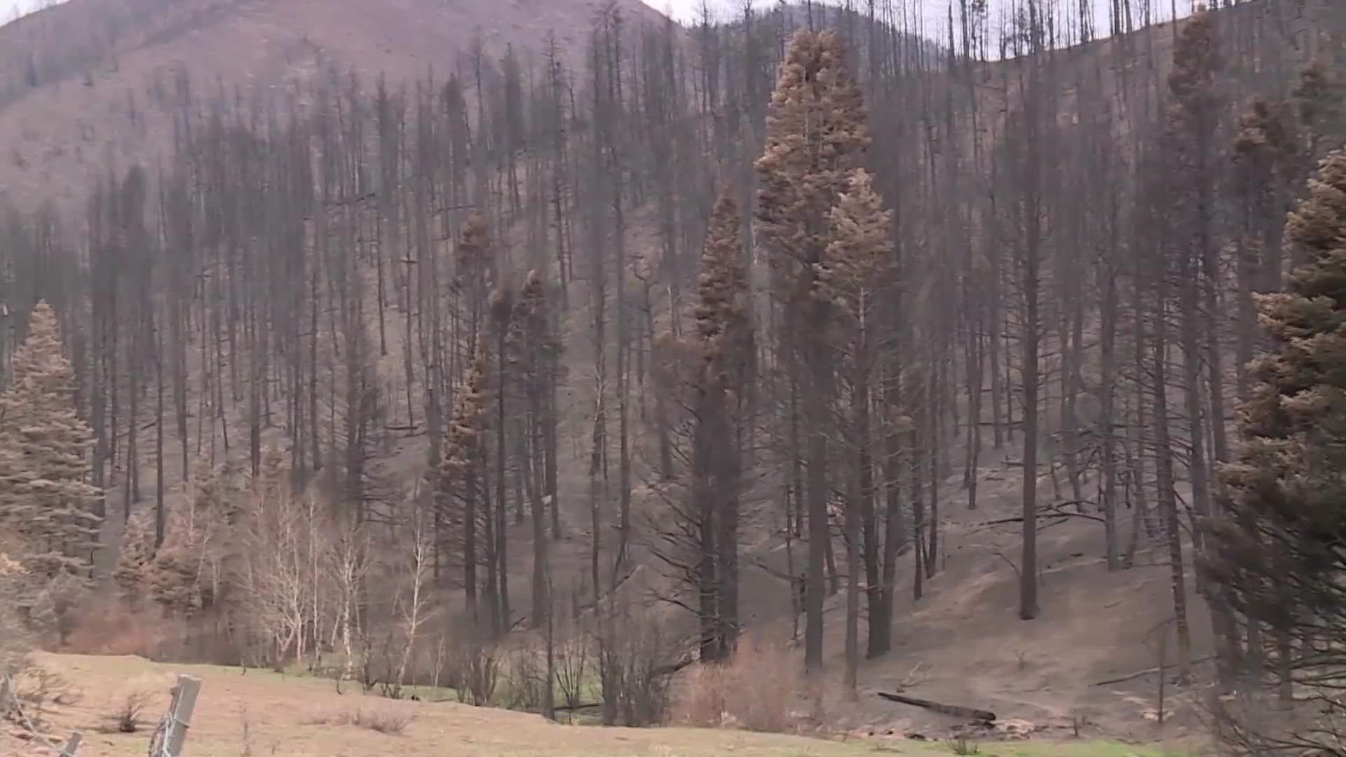 Bill Cotton, a former meteorology professor from CSU, says the dark, burned soil left behind after a wildfire absorbs more heat than a healthy forest.