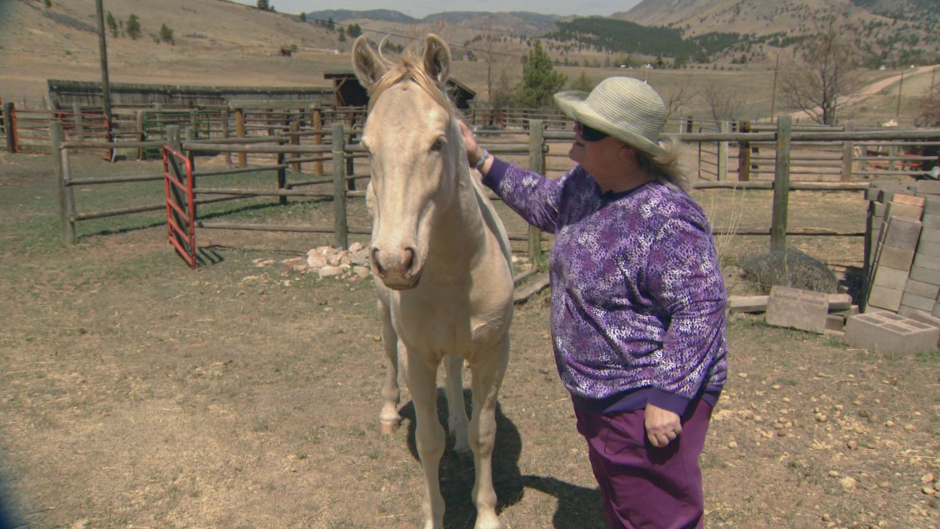 Carol Walker, a wild horse advocate, was concerned to hear about the deaths of dozens of horses. She adopted a young horse named Helios from the facility last fall.