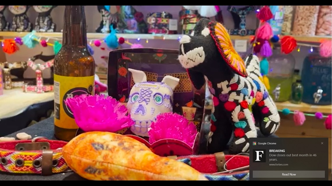 how-to-set-up-a-d-a-de-muertos-altar-for-my-pet-9news