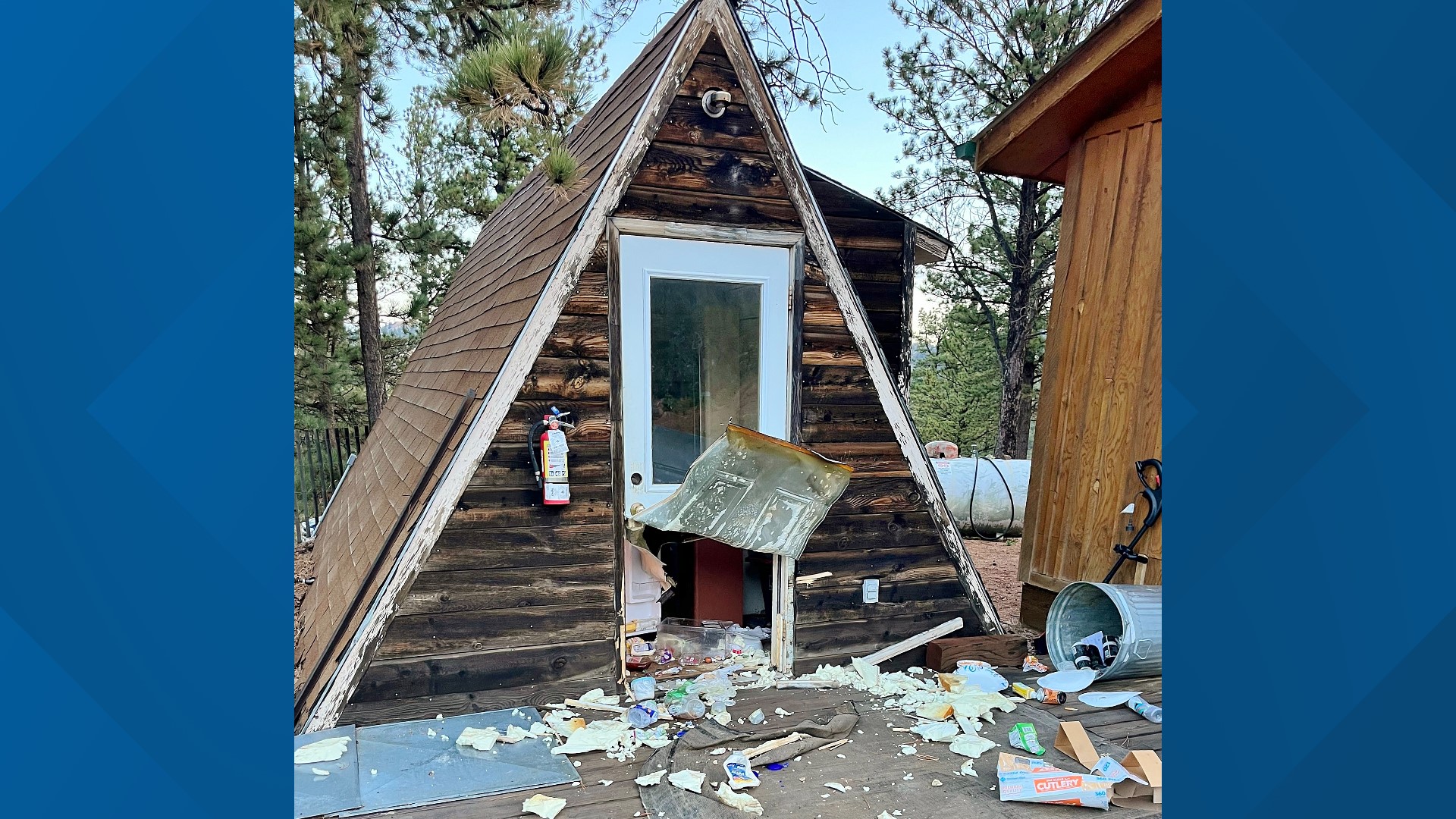 How many bears are there in Colorado?