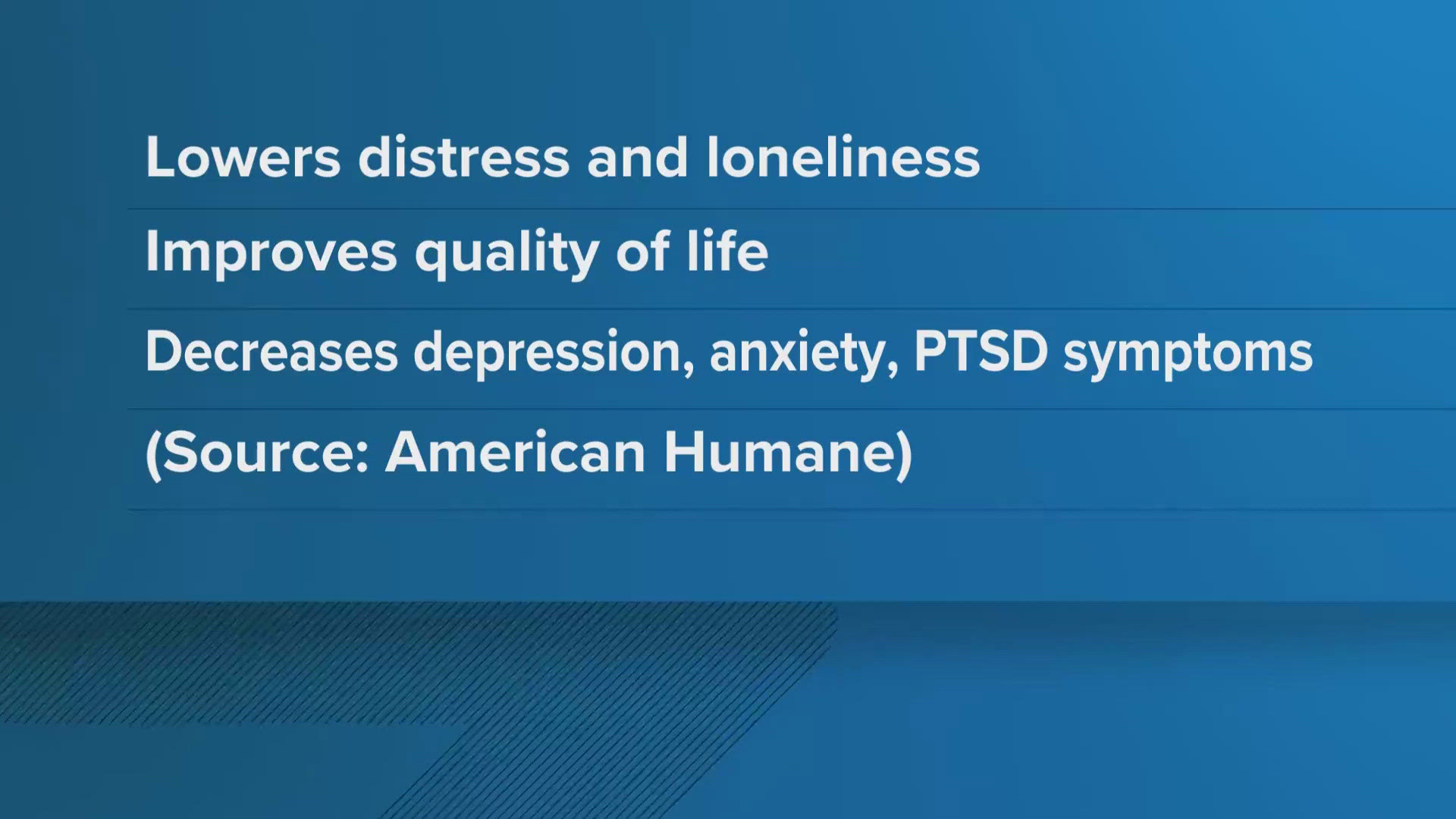 Pets can lower stress and loneliness in seniors with improving their quality of life. It can also decrease depression, anxiety and symptoms of PTSD.