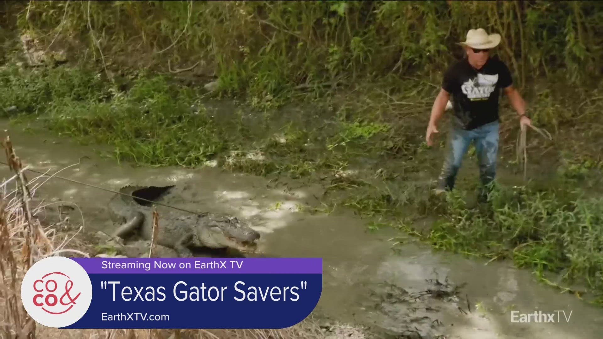 Catch the Texas Gator Savers on  EarthX TV and learn more at EarthXTV.com.