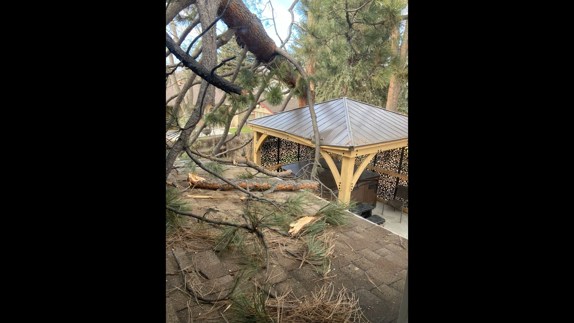 Strong winds bring down power lines, trees across Colorado | 9news.com