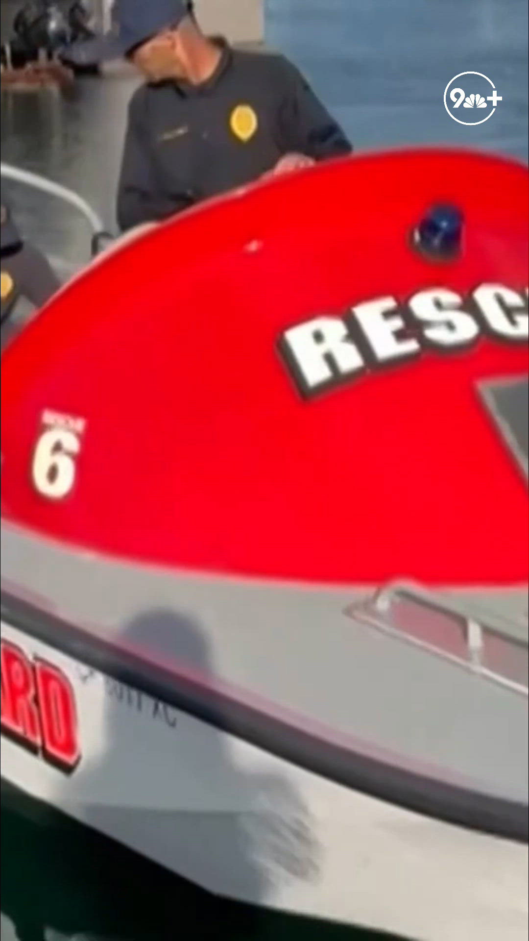 Lifeguards rescue dog swept out to sea by rip current off California ...