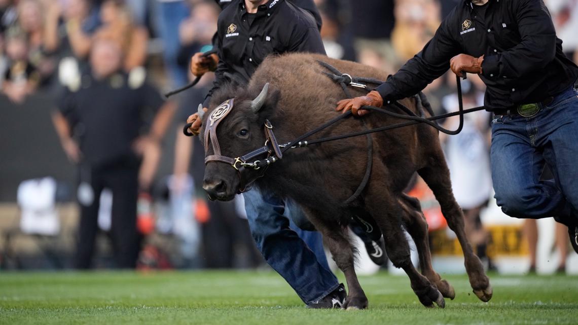 Colorado Football puts itself back on the map with win against #17 TCU -  The Ralphie Report