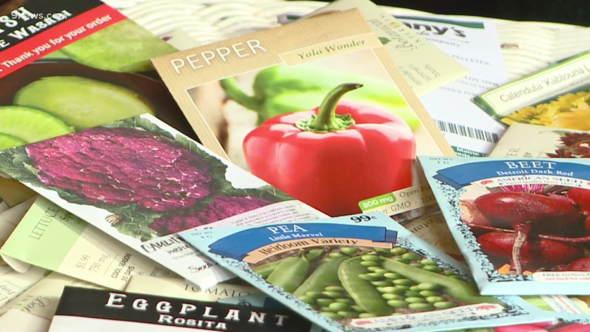 For gardeners, seed catalogs are the best part of January.