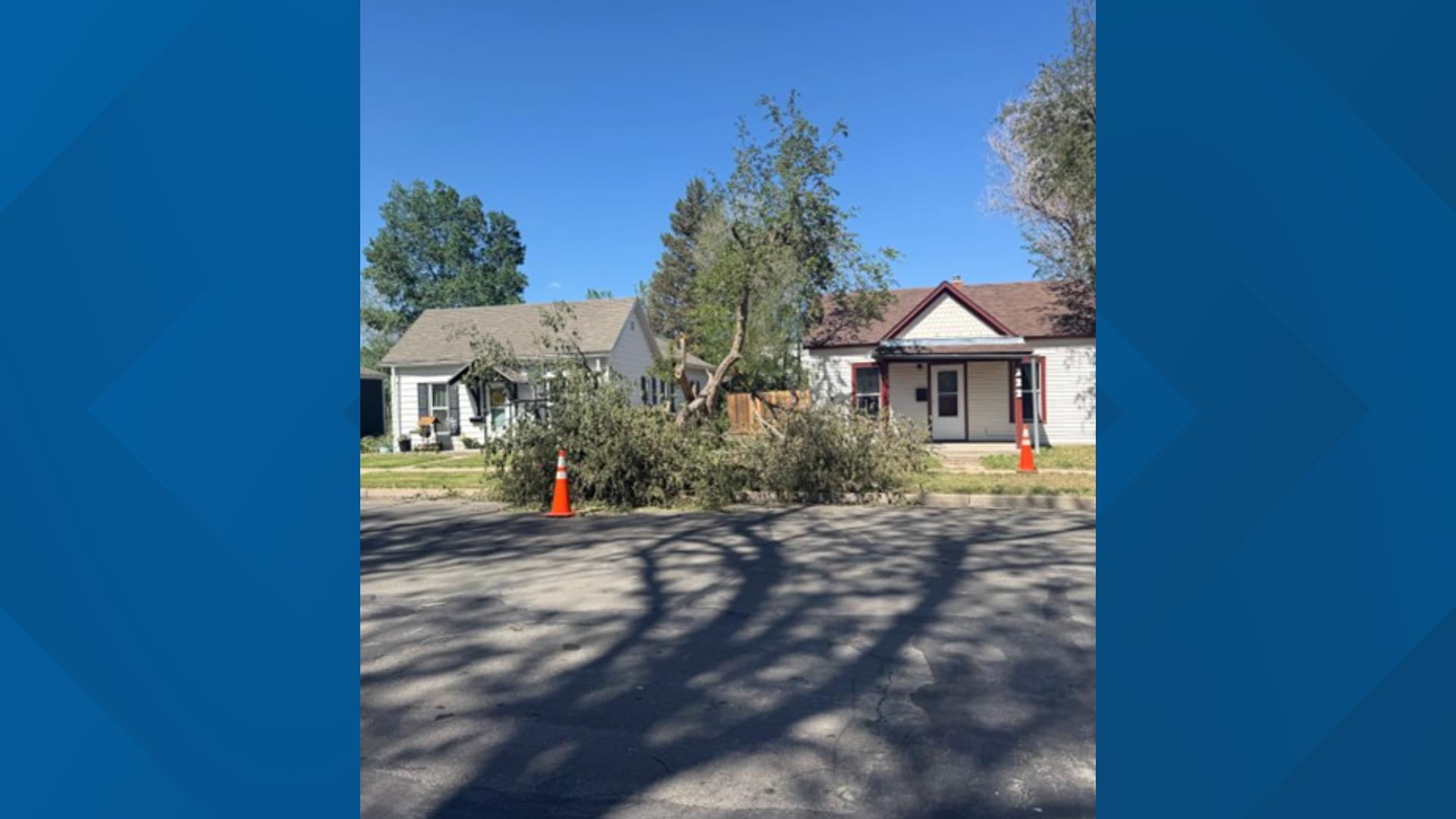 'Dust storm' causes downed trees, debris in Brush | 9news.com