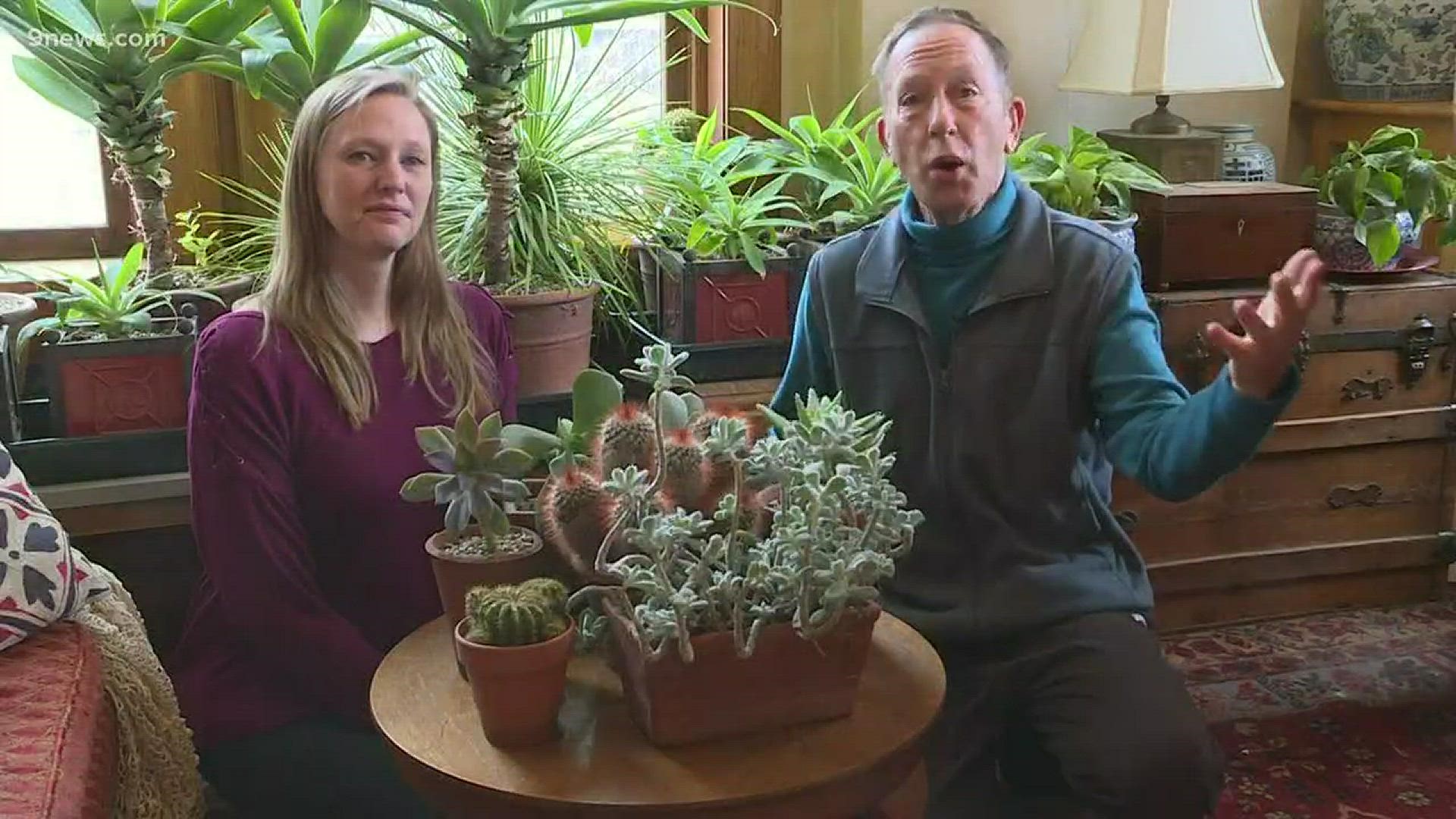 Rob Proctor has tips for keeping your succulents looking good. He says the cold winter is a good time to give them some attention.