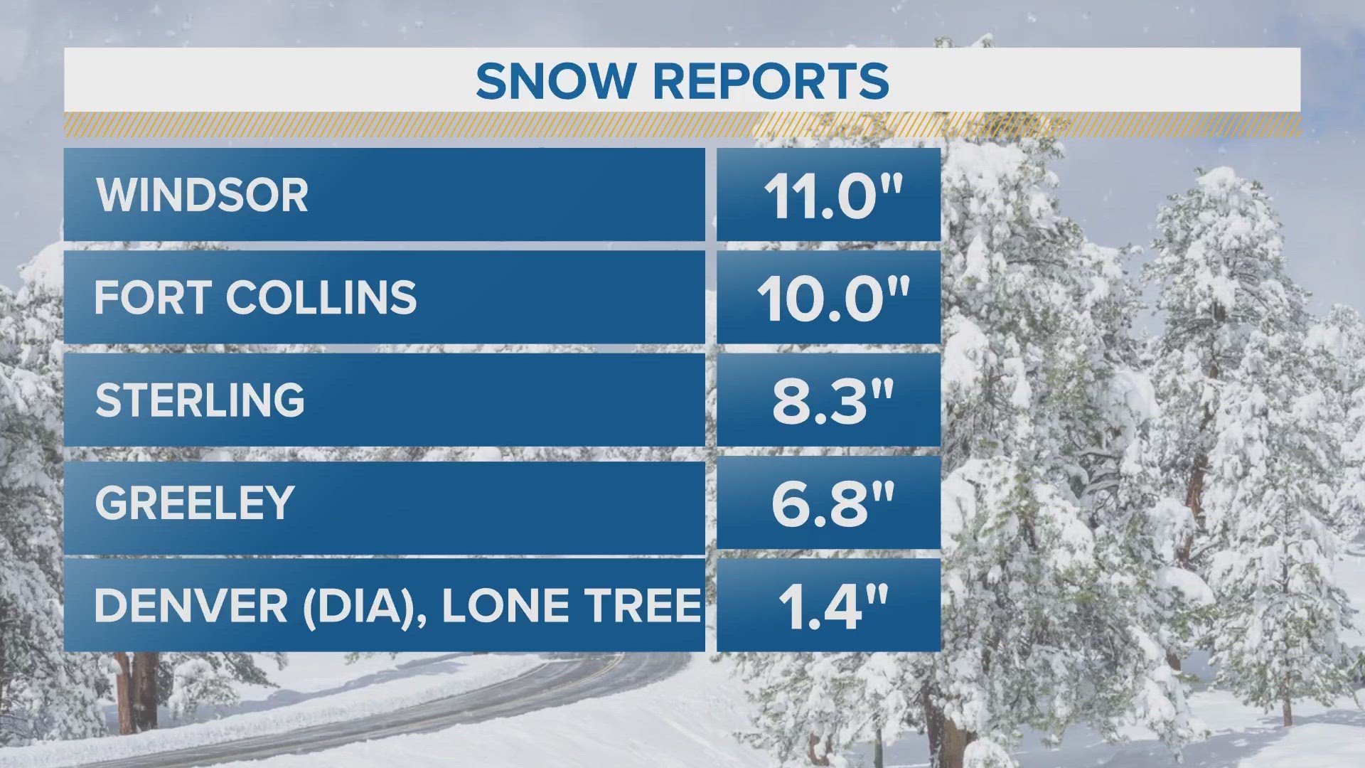 Fort Collins received a foot of snow overnight and into this morning, making it their biggest snowstorm in years.