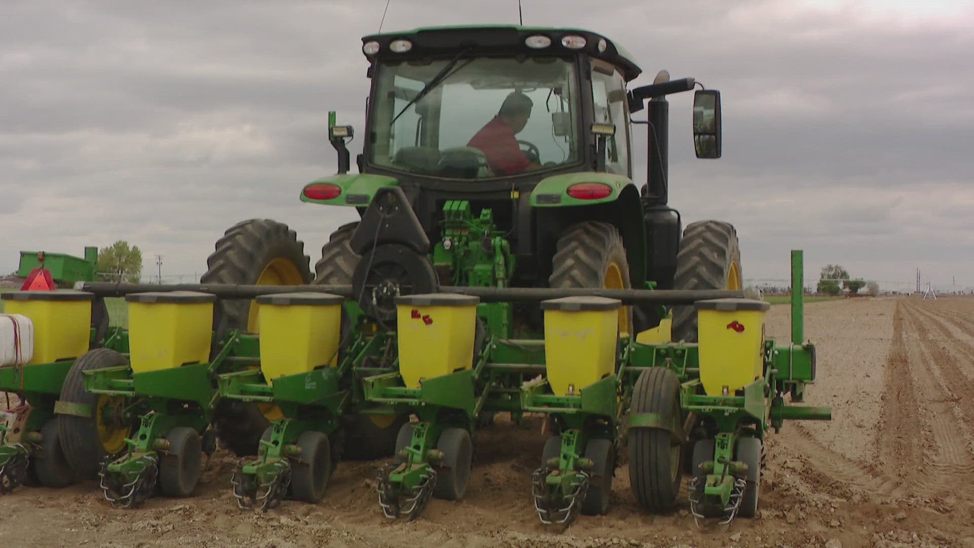 As Colorado's drought continues, some farmers plan to plant fewer crops