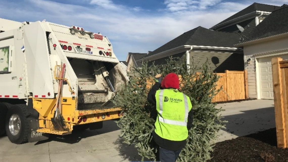 Cara mendaur ulang pohon Natal di area metro Denver