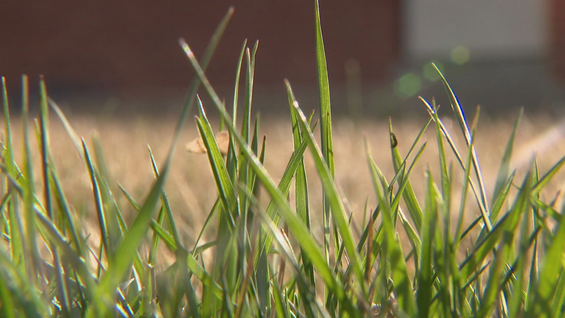 Colorado's drought is hitting every city differently. Here's why.