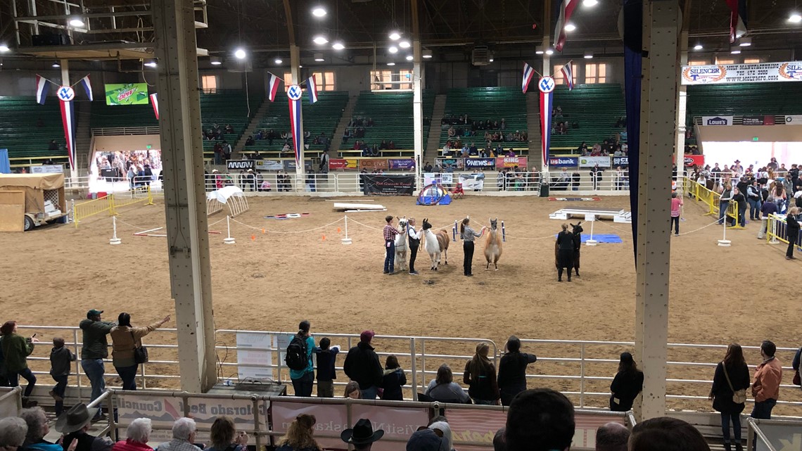 Ticket, schedule information for the National Western Stock Show