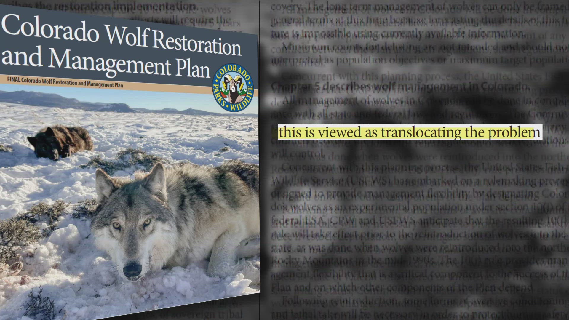 9NEWS Investigates uncovered a document detailing livestock killed by wolves and more information about the wolves recently captured CPW.