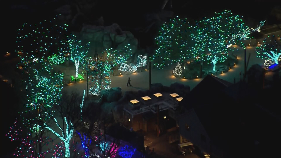 An aerial view of Denver Zoo Lights, Blossoms of Light