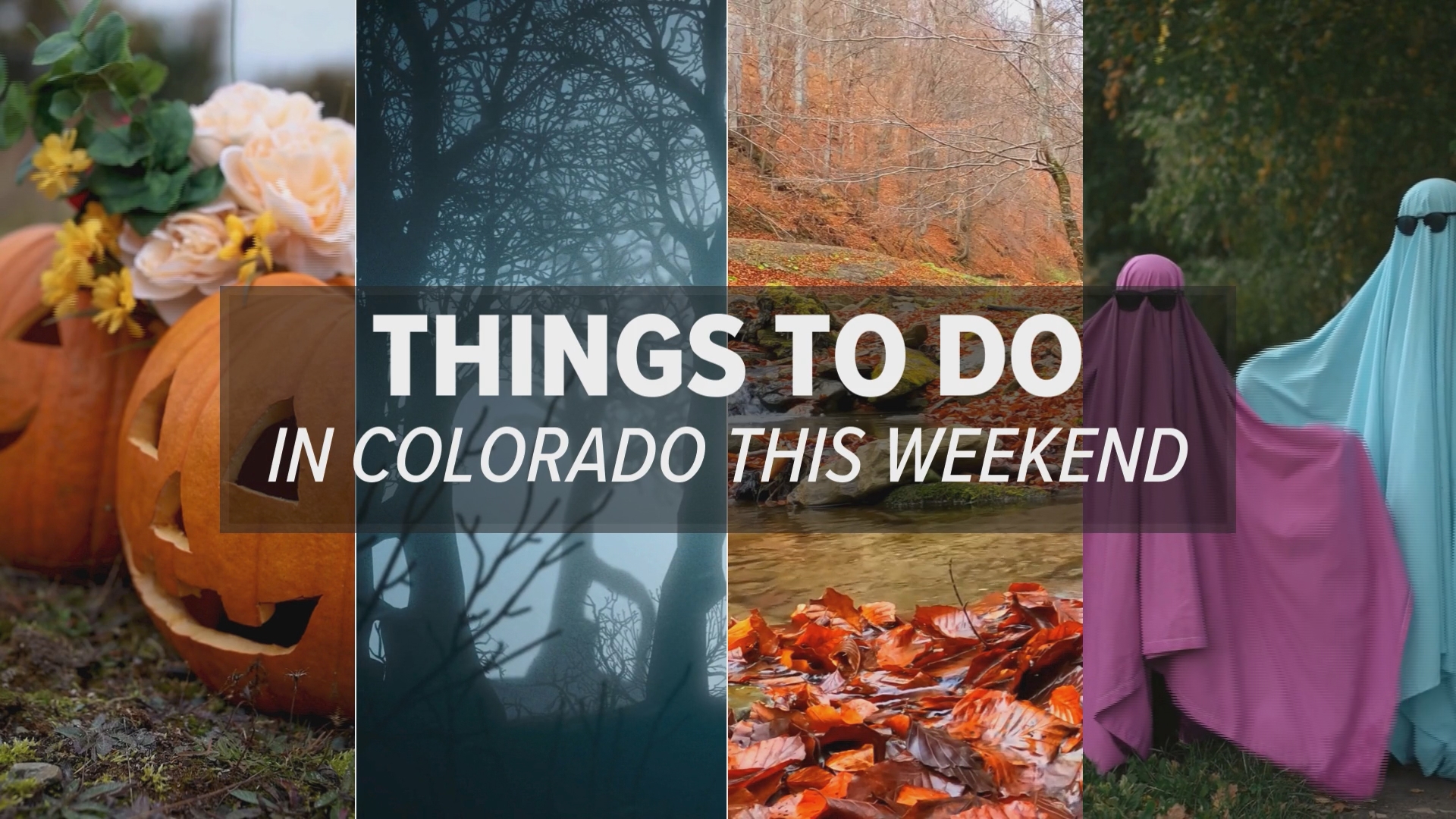 We've found trick-or-treat events, haunted houses and corn mazes across Colorado to help you have a frightful weekend.