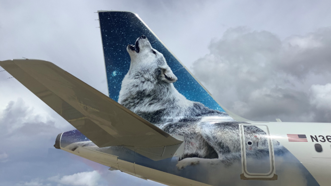 Frontier Airlines 100th Airbus animal is Chinook the Gray Wolf